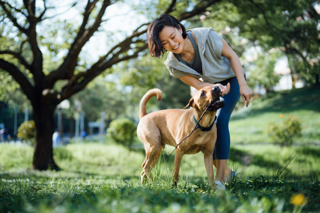 Eine Frau spielt mit einem Hund im sonnigen Park.